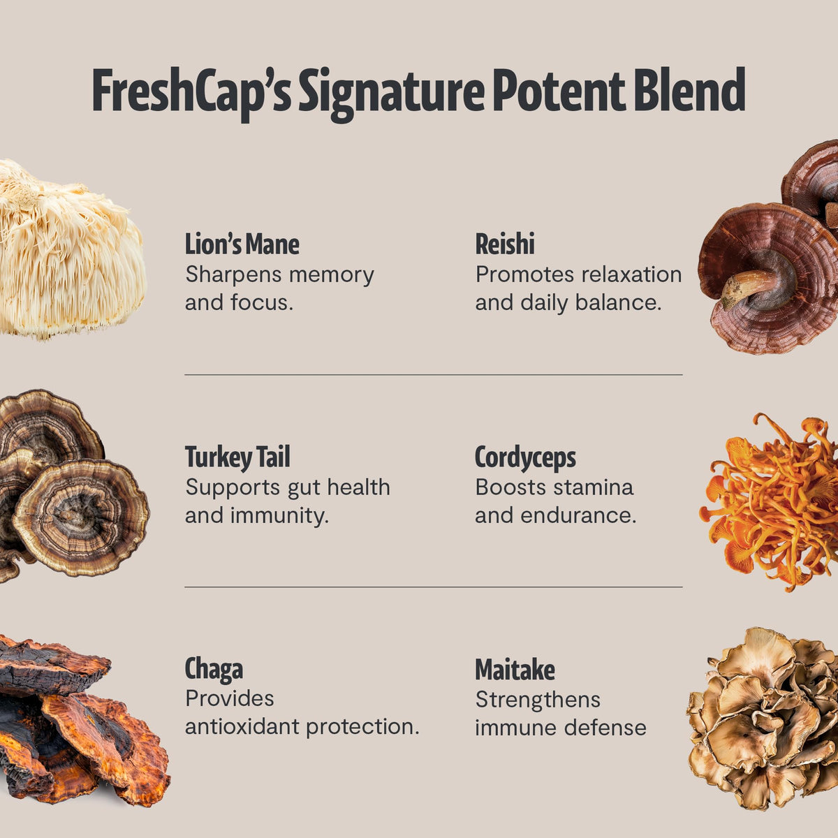 Portion de café de champignons FreshCap dans une cuillère