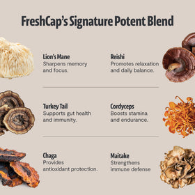 Portion de café de champignons FreshCap dans une cuillère