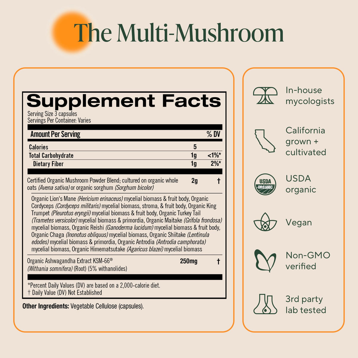 Pot de capsules de champignons OM MUSHROOM SUPERFOOD dans un cadre naturel