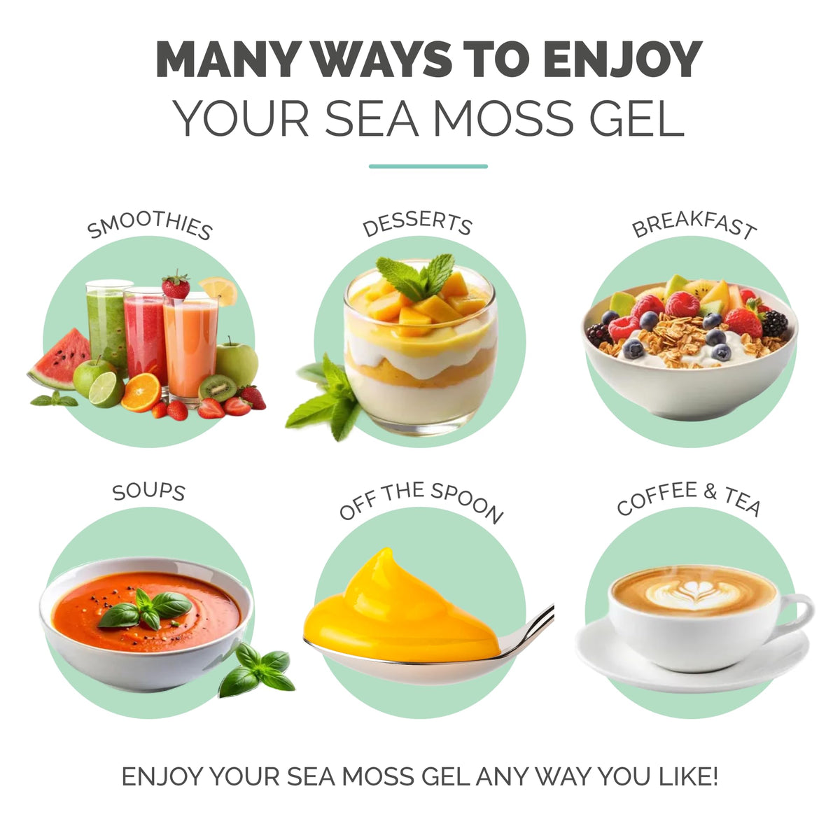 Pot de gel de mousse de mer EverSmith ouvert