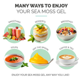 Pot de gel de mousse de mer EverSmith ouvert