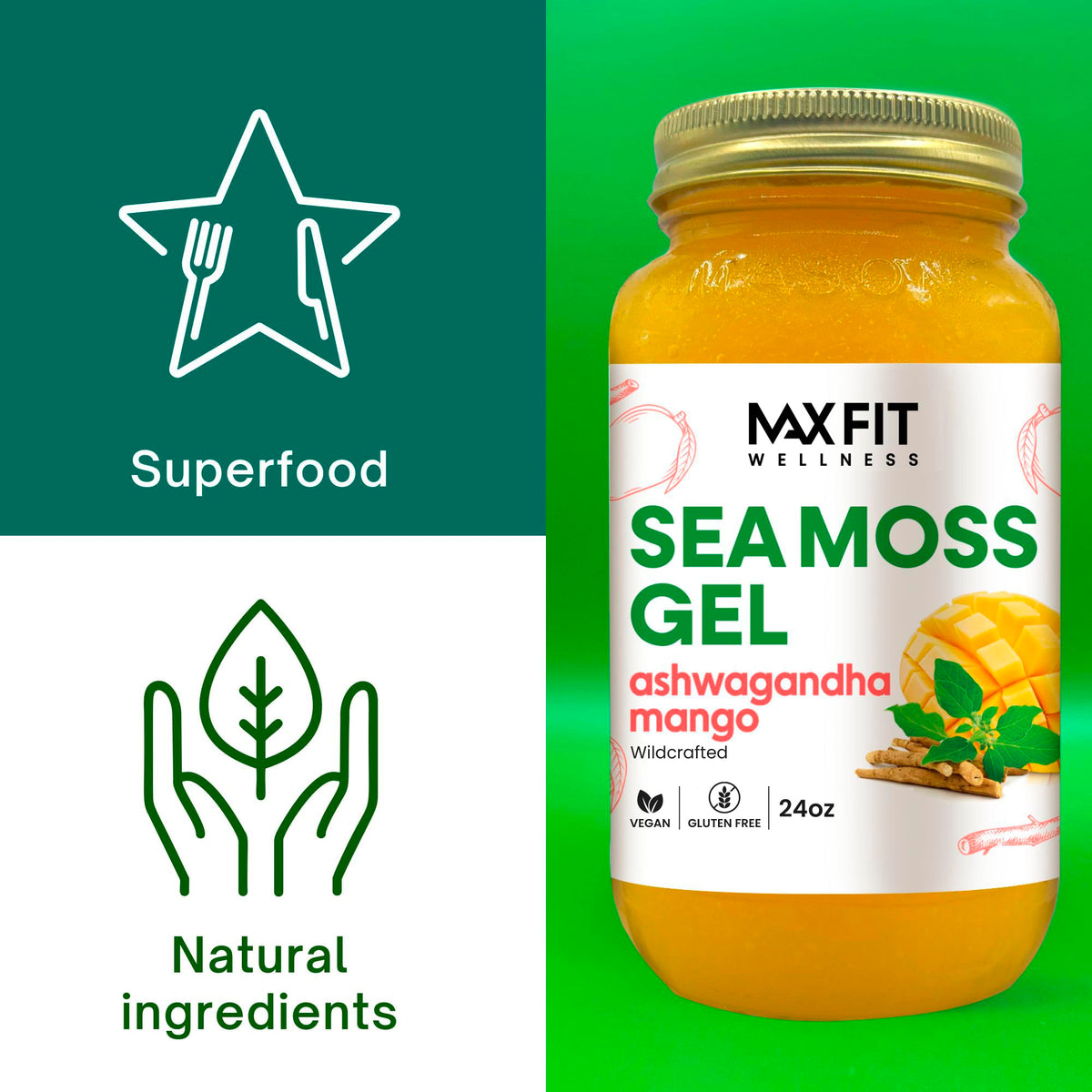 Pot de gel de mousse de mer MAX FIT ouvert avec une texture lisse