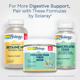 Pot de poudre de psyllium SOLARAY sur une table en bois