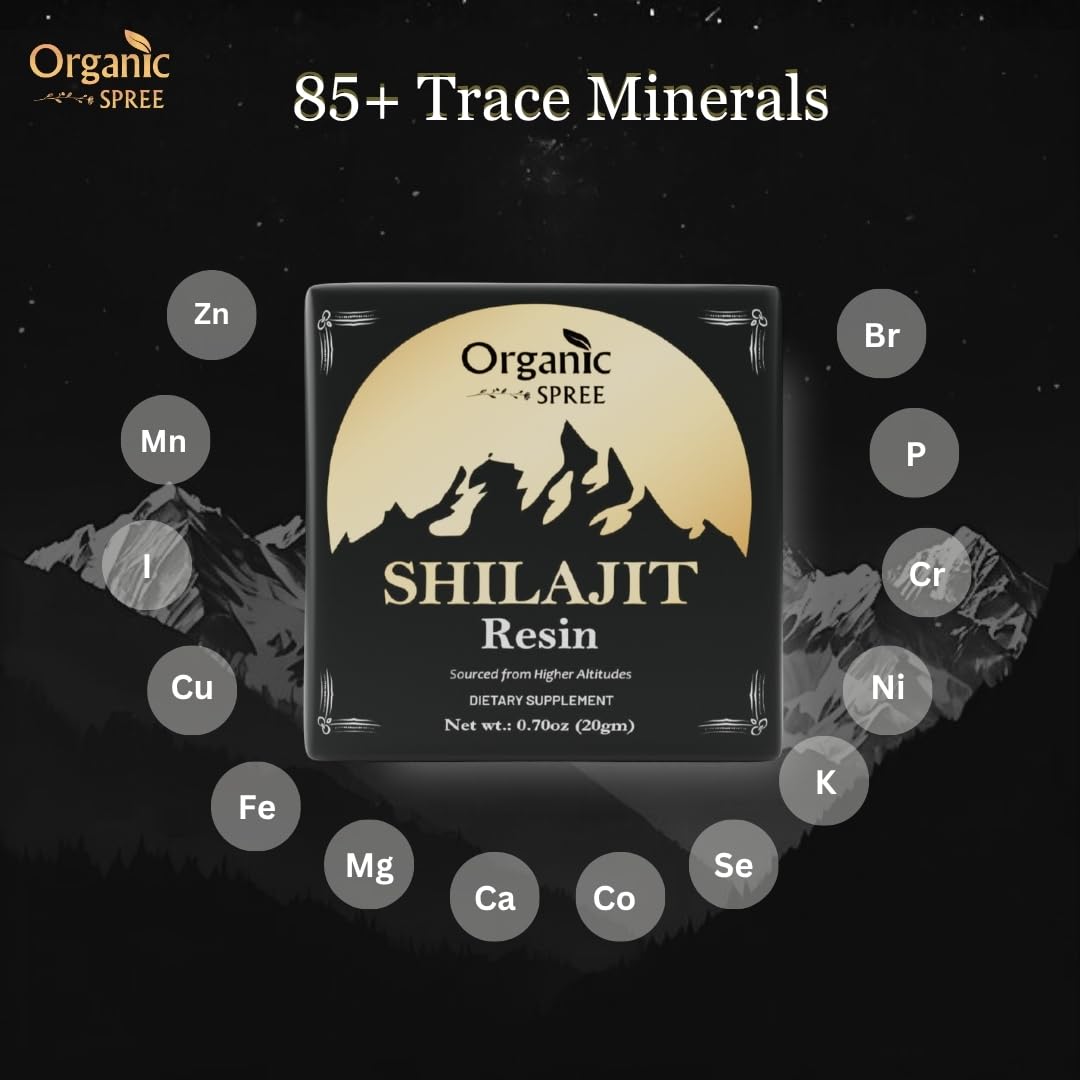 Pot de résine de Shilajit ORGANIC SPREE avec couvercle