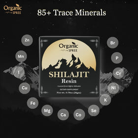 Pot de résine de Shilajit ORGANIC SPREE avec couvercle
