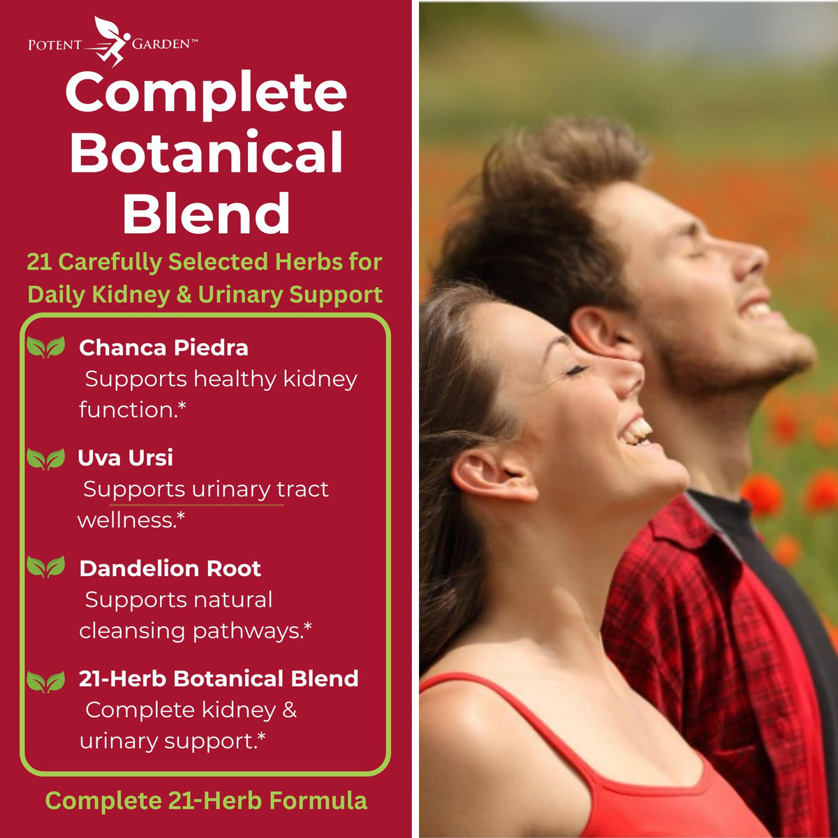 Potent Garden complément alimentaire 60 capsules végétales, contenu