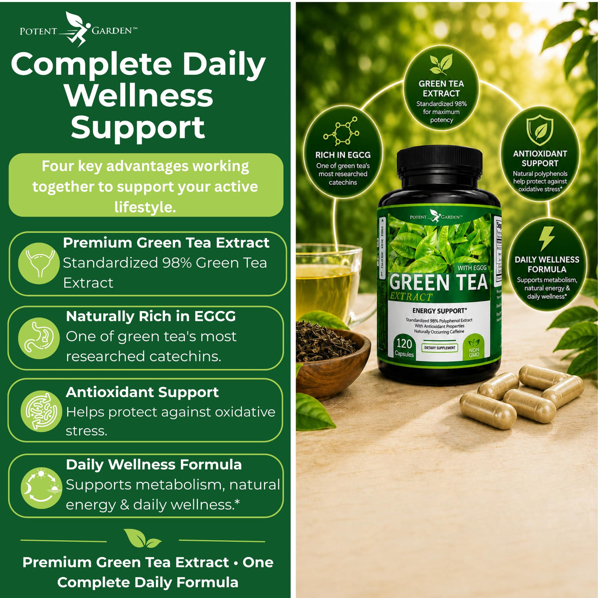 Potent Garden Extrait de Thé Vert 120 Capsules en gros plan
