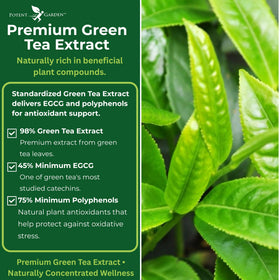 Potent Garden Extrait de Thé Vert 120 Capsules sur une table