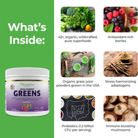 Poudre Berry Energy Greens Paradise Herbs 259g avec cuillère doseuse