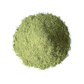 Poudre d'Alfalfa Food to Live dans un bol avec cuillère