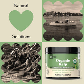 Poudre d'algue marine bio Complete Natural Products vue de côté