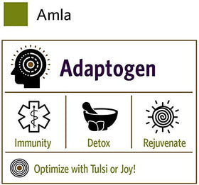 Poudre d'Amla Bio ORGANIC INDIA 472g sur une table en bois