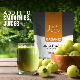 Poudre d'Amla Just Jaivik 250g versée dans un bol