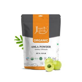 Poudre d'Amla Just Jaivik 250g vue avant