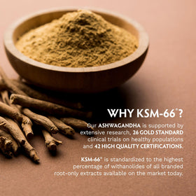 Poudre d'ashwagandha KSM-66 Bio TRIBE ORGANICS dans un smoothie