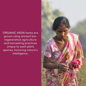 Poudre d'Ashwagandha ORGANIC INDIA avec une cuillère