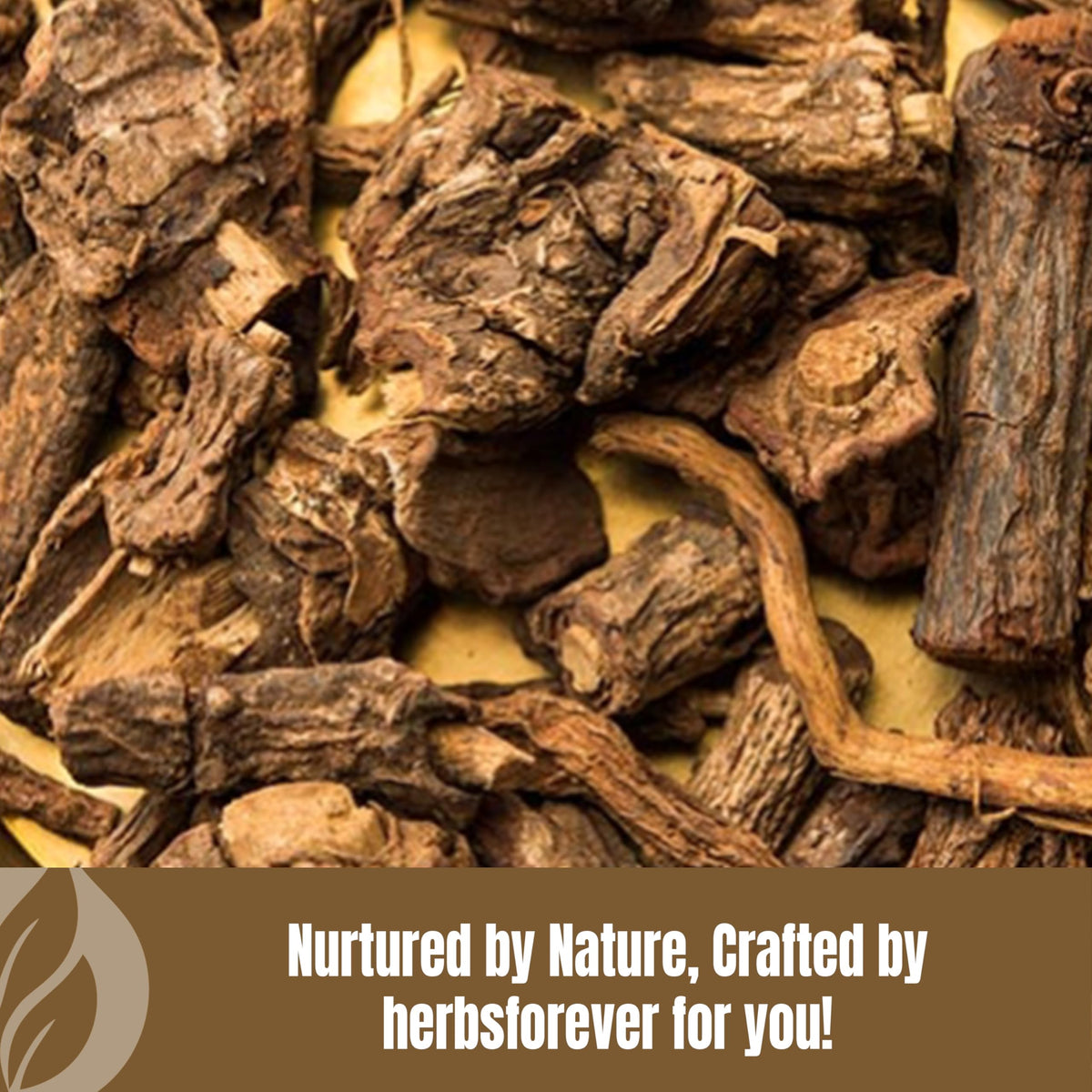 Poudre d'écorce de Lodhra Herbsforever en cuisine
