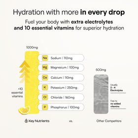 Poudre d'électrolytes au potassium KEY NUTRIENTS sur une table avec des fruits
