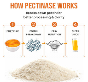 Poudre d'enzyme pectinase 125g en utilisation dans un processus de pressage