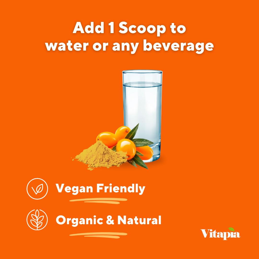 Poudre d'extrait de baies de sureau bio Vitapia dans un shaker