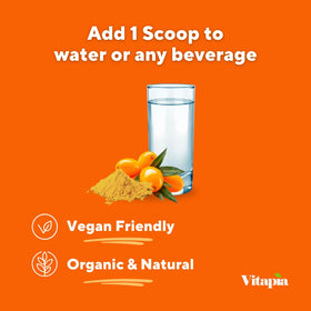 Poudre d'extrait de baies de sureau bio Vitapia dans un shaker