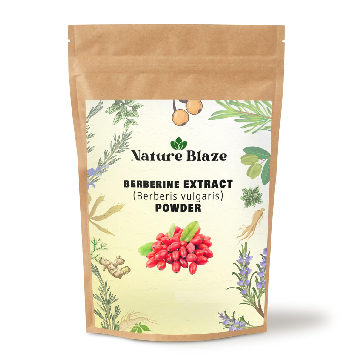 Poudre d'extrait de berbérine Nature Blaze 114g vue de face