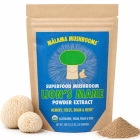 Poudre d'extrait de champignon Lion's Mane Malama Mushrooms vue de face