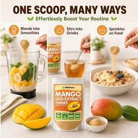 Poudre d'extrait de graine de mangue XPRS Nutra en utilisation dans un smoothie