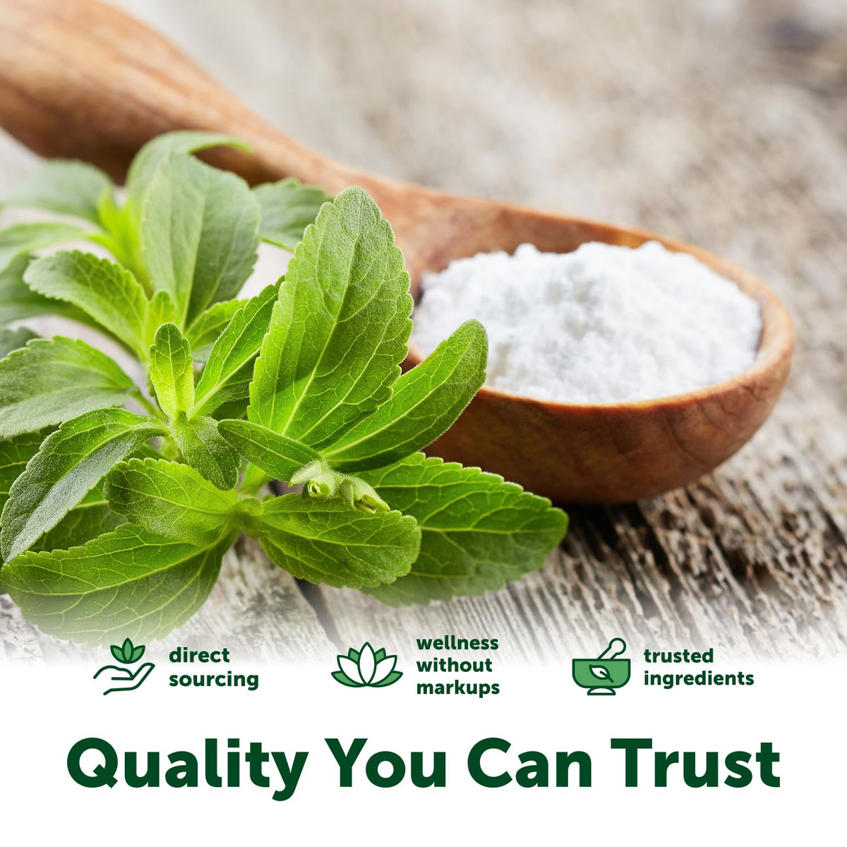Poudre d'extrait de stevia bio Micro Ingredients avec cuillère