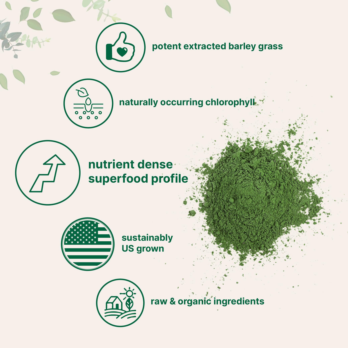 Poudre d'herbe d'orge bio Micro Ingredients dans un verre