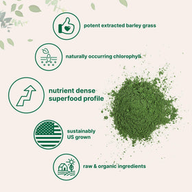 Poudre d'herbe d'orge bio Micro Ingredients dans un verre