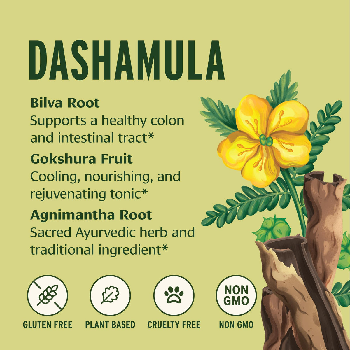 Poudre Dashamula dans une cuillère en bois