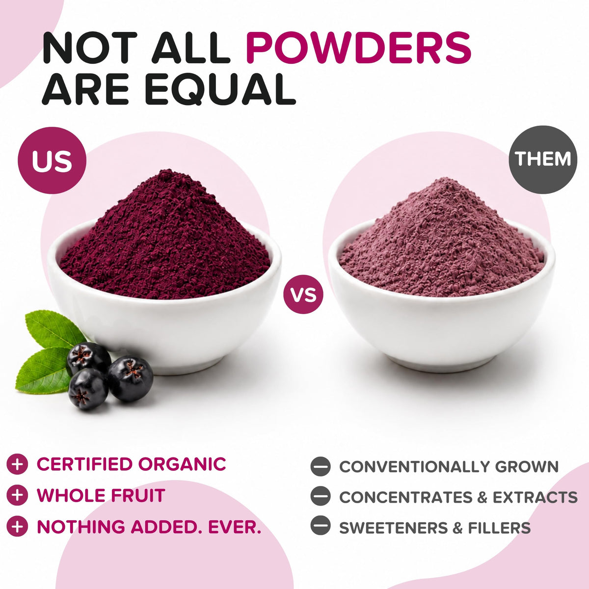 Poudre de baies d'aronia dans un bol avec des fruits