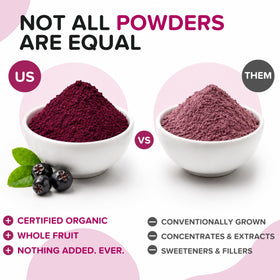 Poudre de baies d'aronia dans un bol avec des fruits