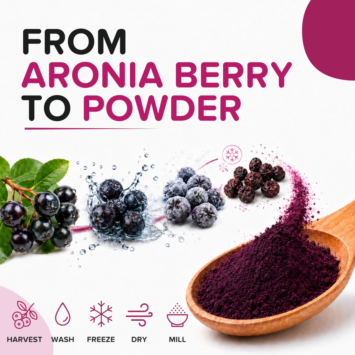 Poudre de baies d'aronia dans une recette de dessert