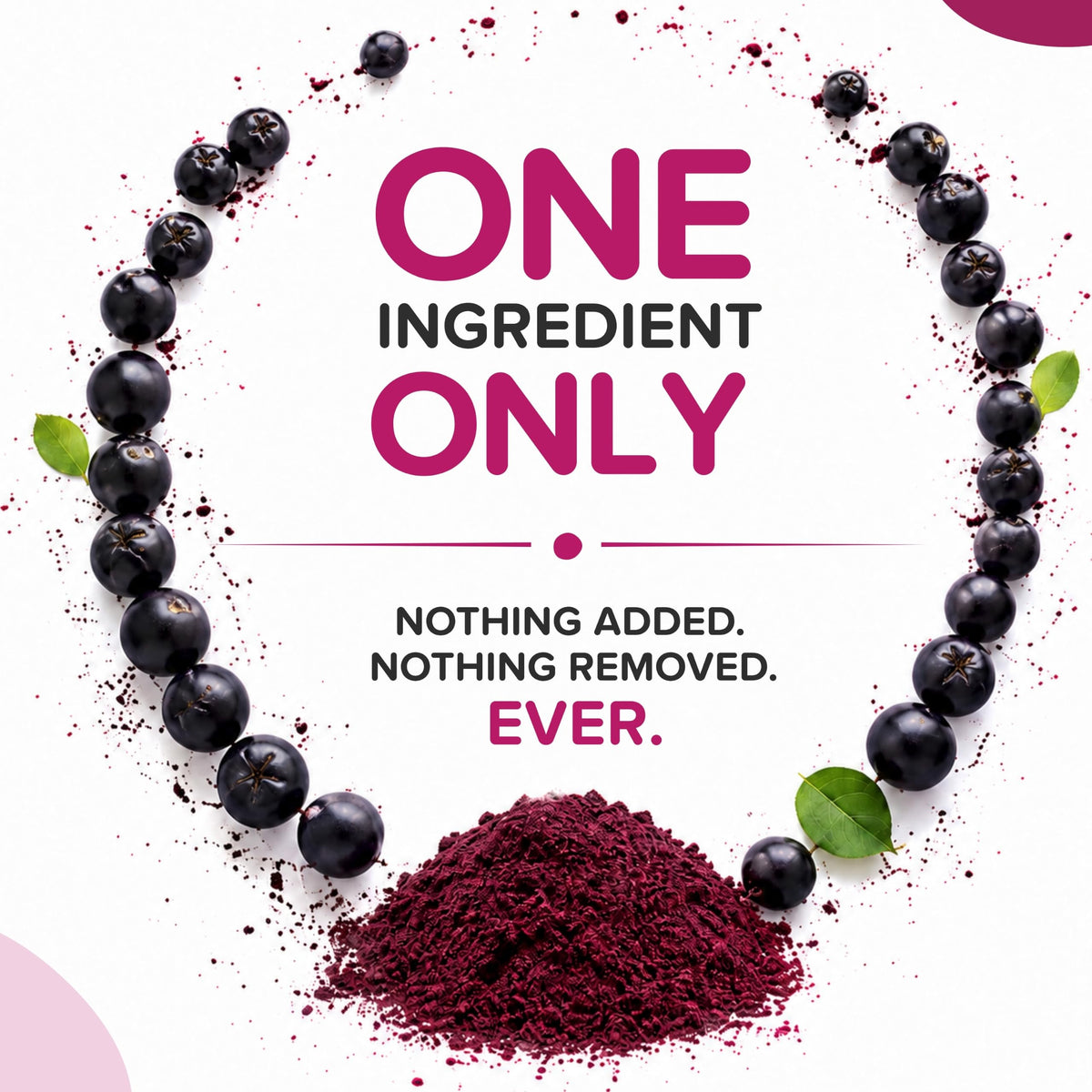 Poudre de baies d'aronia mélangée dans un smoothie