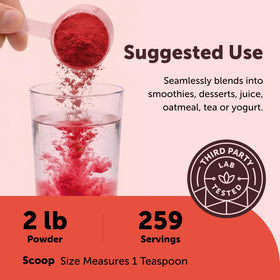 Poudre de betterave bio Micro Ingredients dans un bol pour smoothie