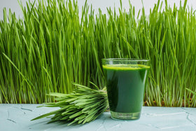 Poudre de blé vert bio Antler Farms dans un bol avec des ingrédients frais