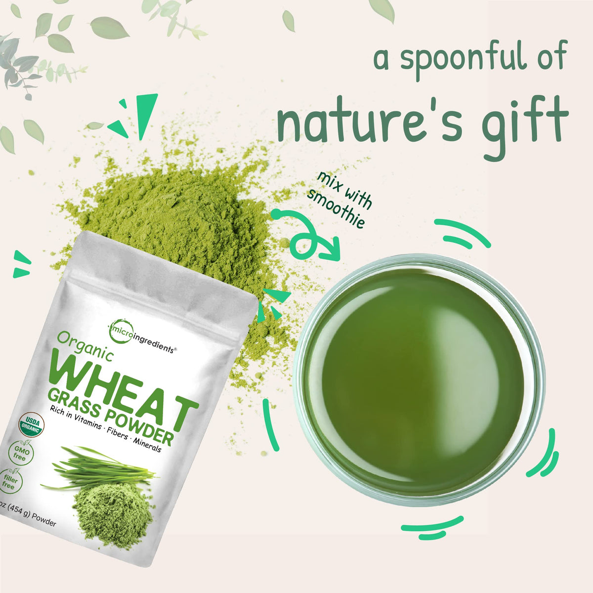 Poudre de blé vert bio sur une cuillère