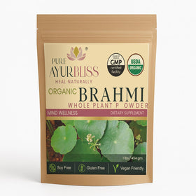 Poudre de Brahmi PureAyurbliss 480g vue de face
