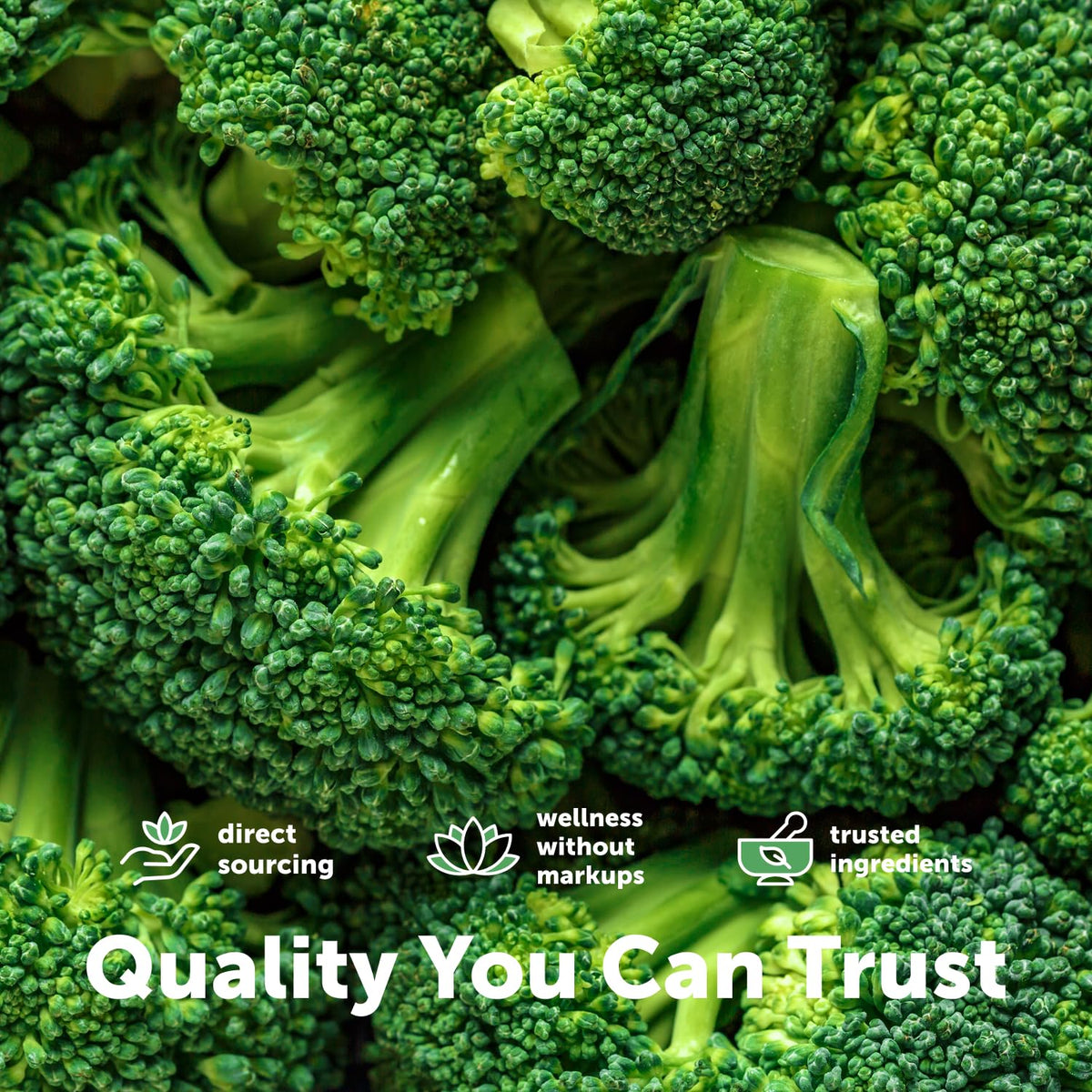 Poudre de Brocoli Bio utilisée dans une recette de soupe