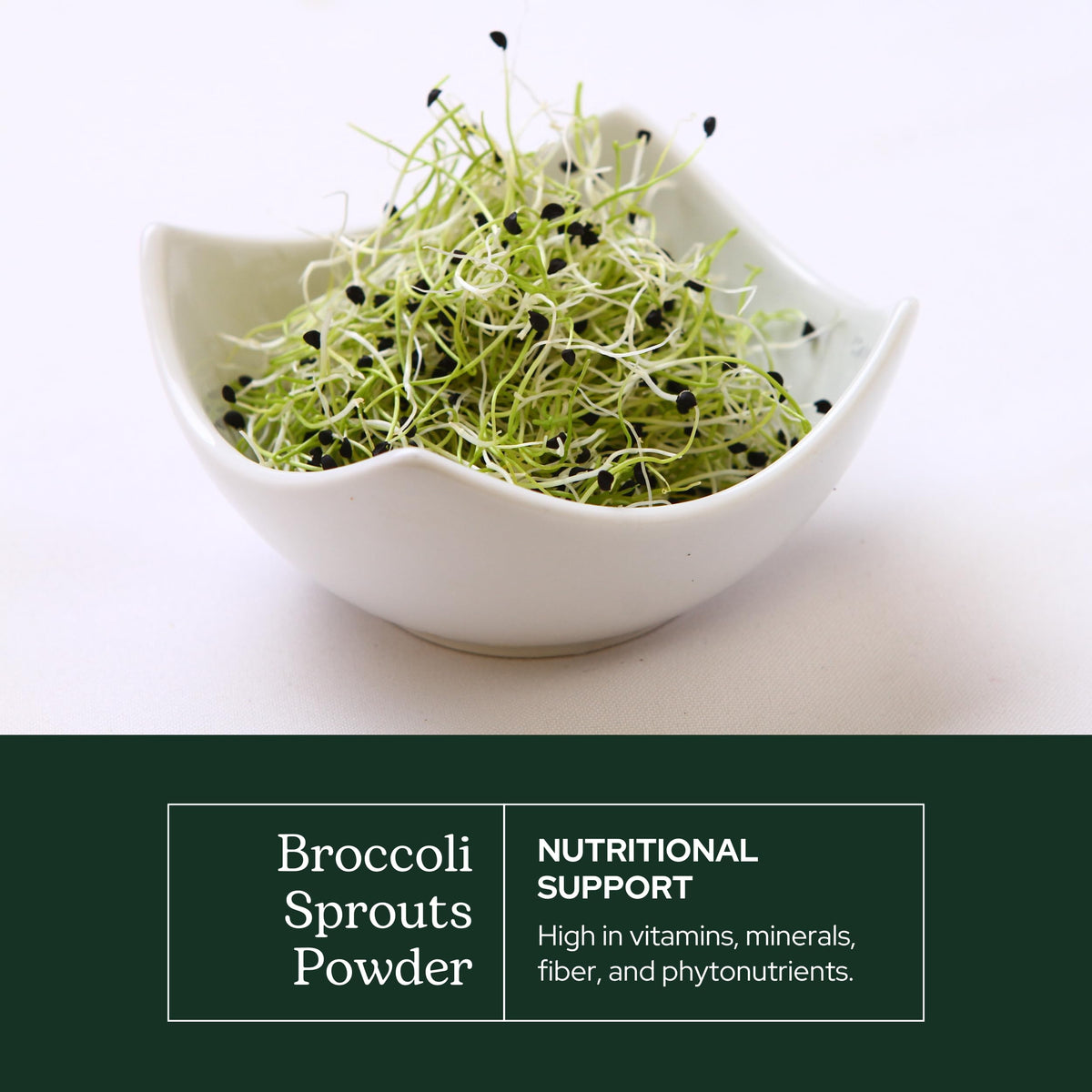 Poudre de brocoli dans un bol avec des ingrédients frais