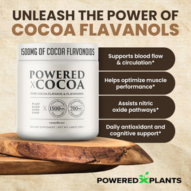 Poudre de cacao avec des ingrédients naturels sur fond en bois
