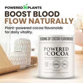 Poudre de cacao en poudre avec cuillère en bois