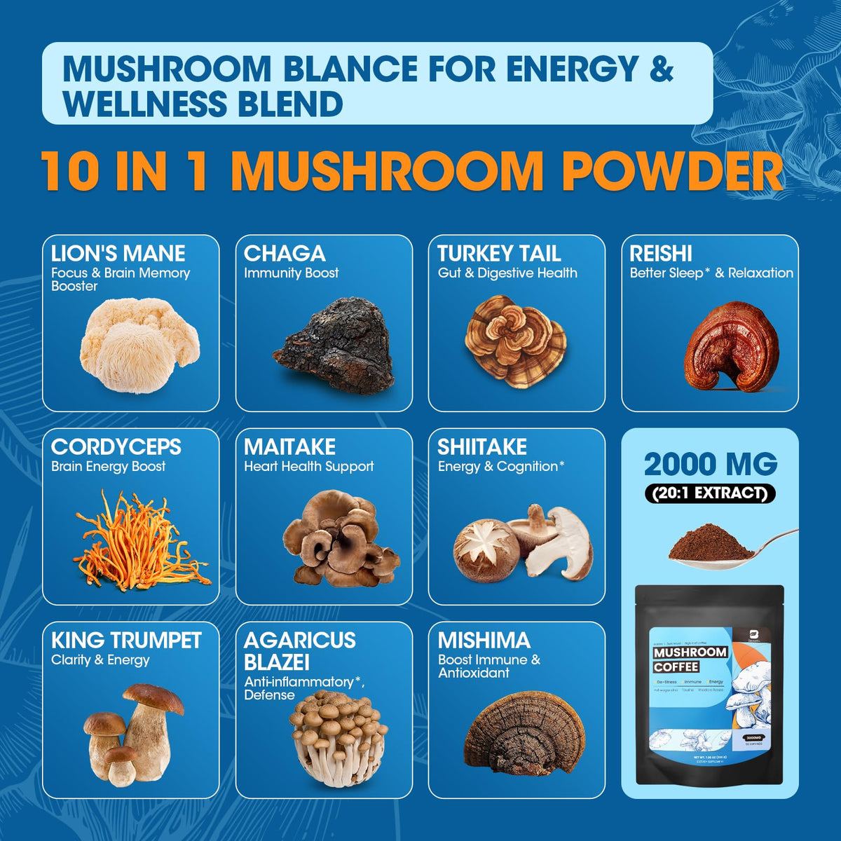 Poudre de café aux champignons B BEWORTHS dans un verre d'eau