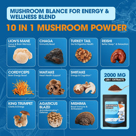 Poudre de café aux champignons B BEWORTHS dans un verre d'eau