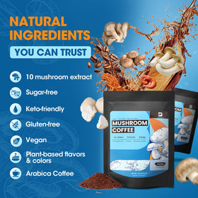 Poudre de café aux champignons B BEWORTHS sur une cuillère