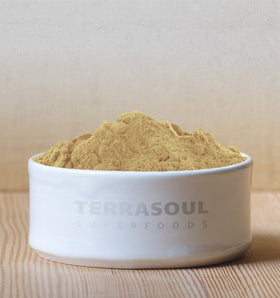 Poudre de Camu Camu vue de près avec texture fine