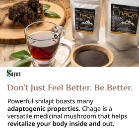 Poudre de Chaga et Shilajit Sayan 59g en utilisation