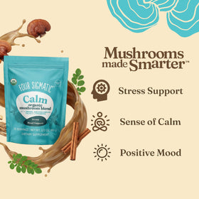 Poudre de champignon Calm Four Sigmatic dans une cuillère en bois